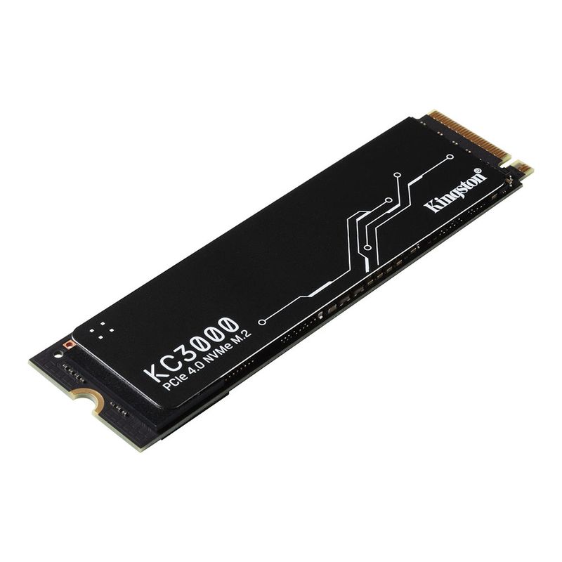 SKC3000S1024G_1