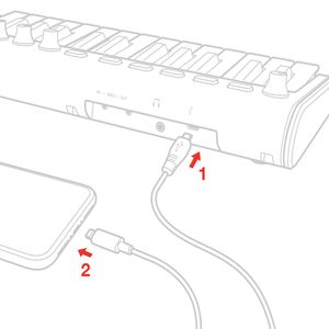 Controlador de teclado MIDI ultracompacto IK Multimedia IP-IRIG-KEYS2MINI-IN, negro