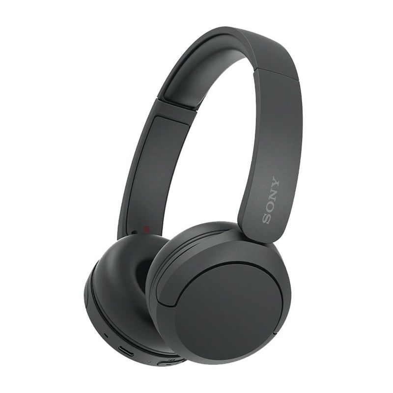 WH-CH520-BZUC_1