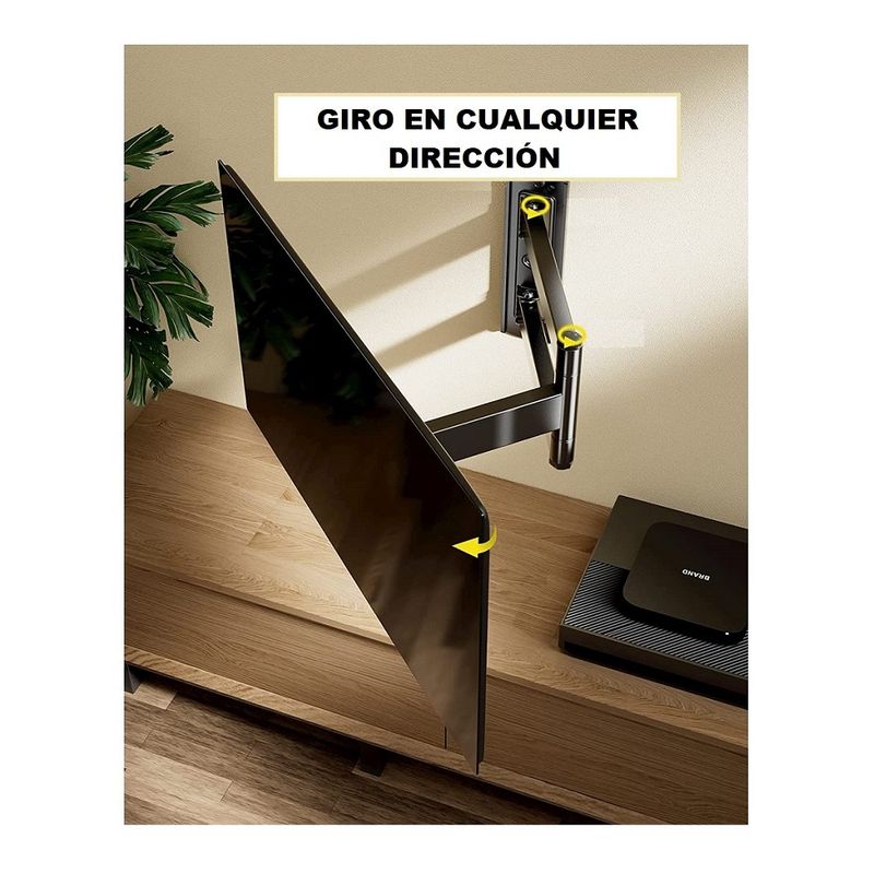 imagen5