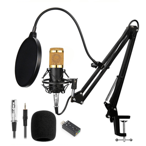 Micrófono condensador OEM BM800, conexión XLR, alámbrico, cable 2m + brazo soporte y filtro, dorado