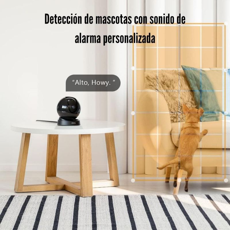 image-2b50769f76fd4d6283ca97e63a7288e6