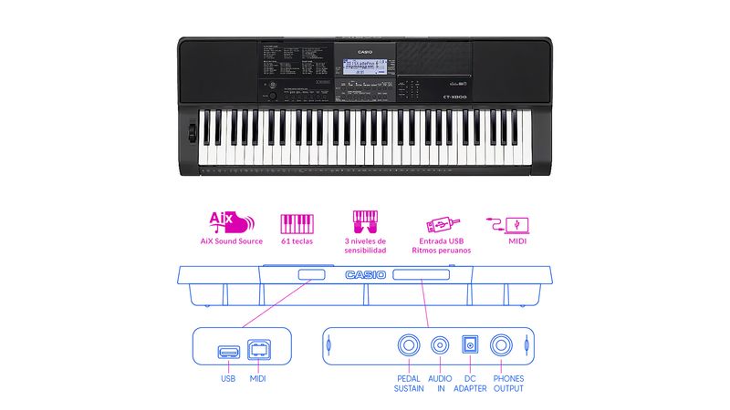 Combo Casio CT-X800 Teclado estuche base adaptador, Music Box