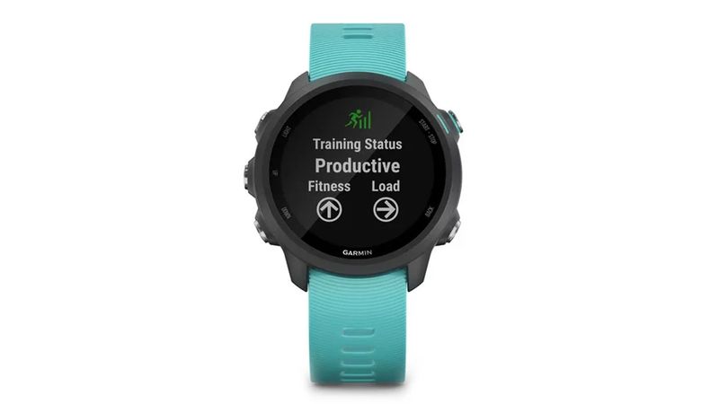 Smartwatch Garmin VivoActive 4 gps, 1.3, resistente al agua 5ATM, máx. 8  días, gris - Coolbox