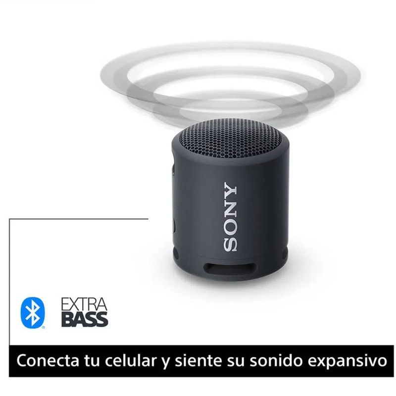 imagen6