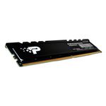 PSP516G480081H1_1
