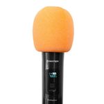 MICR2021010_3