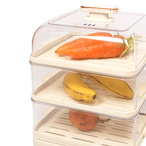 Vaporera eléctrica para alimentos Vivibox