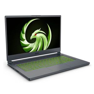 Laptop MSI Delta 15 A5EFK Gaming 15.6" FHD, AMD Ryzen 7-5800H, 1TB SSD, 32GB RAM, AMD Radeon RX6700M 10GB, Win 11 Home, teclado en inglés, gris