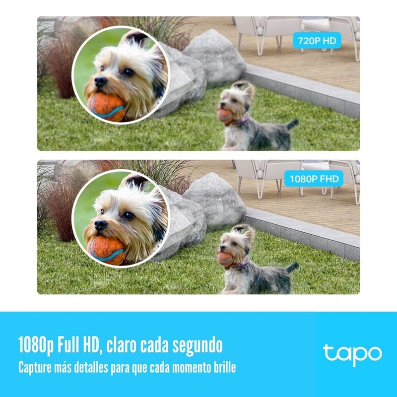 image-3dab707be5b24b63b984ee5b701ef0aa
