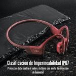 image-cc9c6f2d18d14f18868a0043d9df25fa