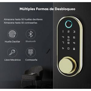 Cerradura Digital Inteligente Tech Care Con Deadlock Dorado