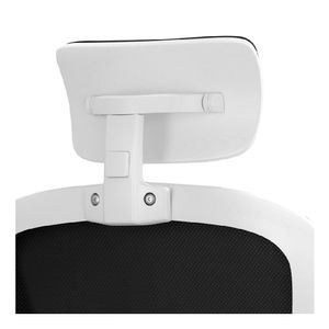 Silla de Oficina Evox CT256-SB con Soporte Lumbar Ajustable y Base de Acero, Blanco