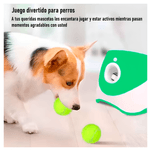image-7a05f3996f464c5a9a2d6c5284555b37