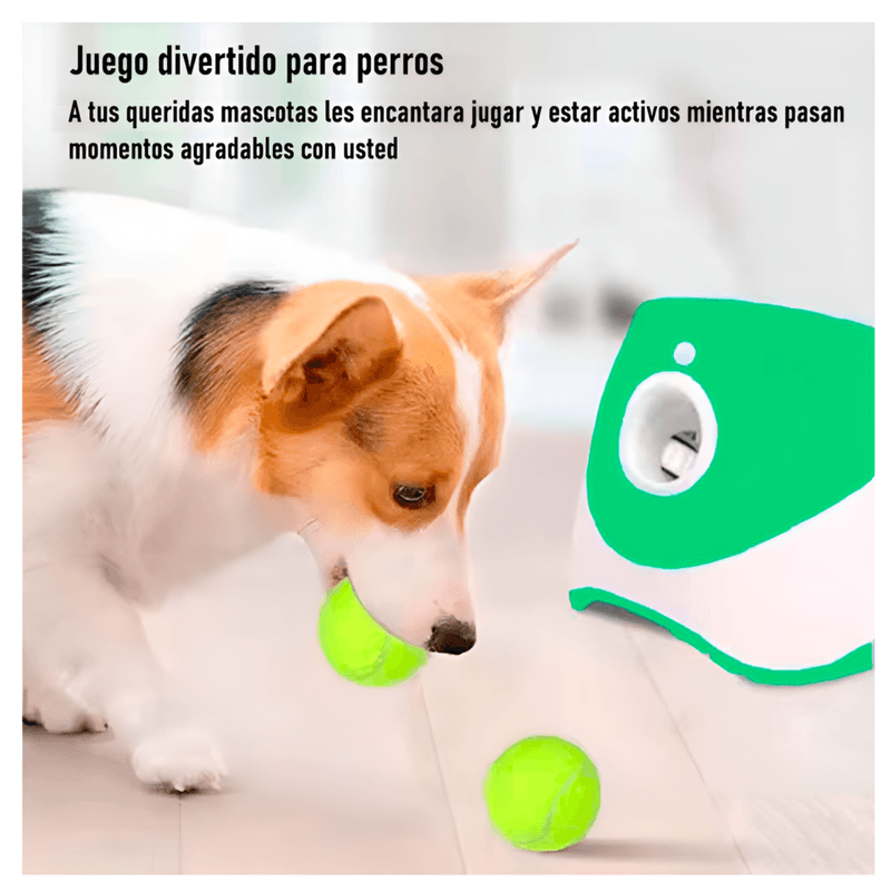 image-7a05f3996f464c5a9a2d6c5284555b37