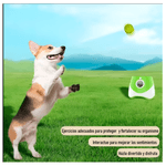 image-f4f769b5d11f4231ba92c0beac00a210