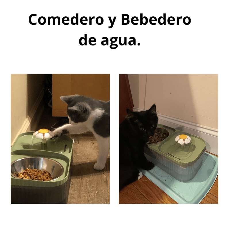 image-d0d2c0bf7b3f48af80c9a81989ea0720