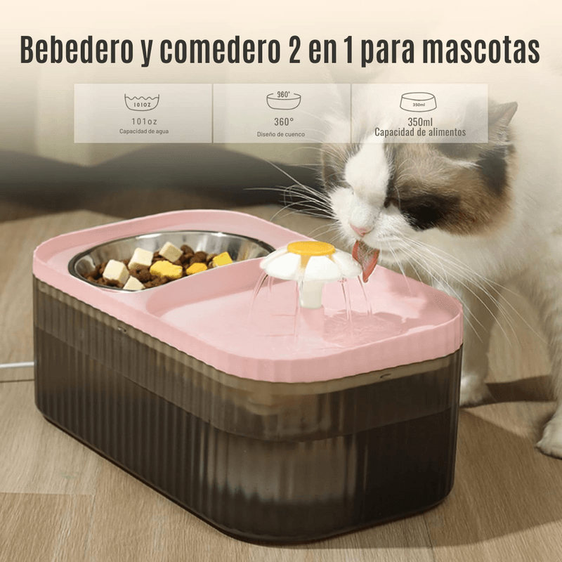 image-042c793d2be04f52b674e518121abb0e