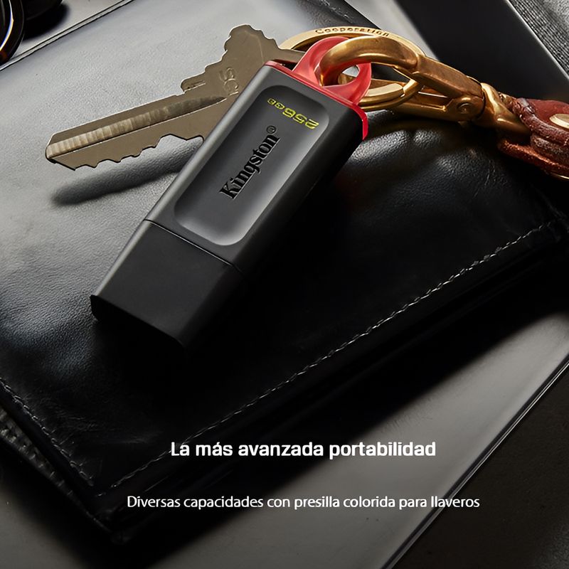Data-Traveler-Exodia-DTX_1
