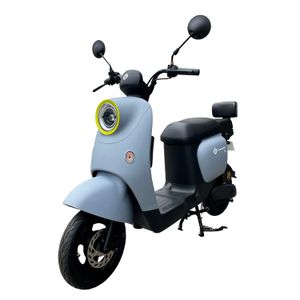 Bicimoto eléctrica  GreenLine Vmp T2, velocidad 25 km/h, peso máx. 120 kg, gris