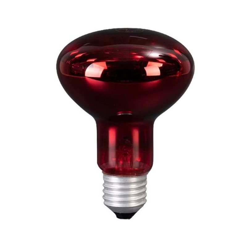 Diseno sin titulo -10-.jpg