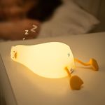 pato4.jpg