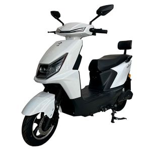 Moto eléctrica GreenLine Y3, 45 km/h, autonomía 60 km, amortiguación, vehículo eléctrico, blanco