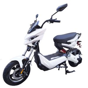 Moto eléctrica, GreenLine X3, 60 km/h, 65 km, 1500W, 72V, alarma, vehículo eléctrico, blanco