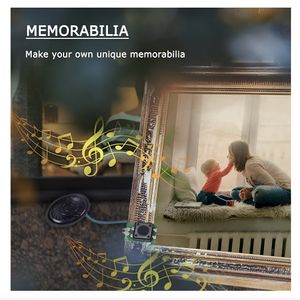 Grabadora de sonido Rohs, control de sonido y botón programable, Gris