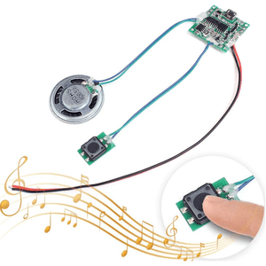 Grabadora de sonido Rohs, control de sonido y botón programable, Gris
