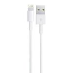 LIGHT-R1M-IB_1.jpg