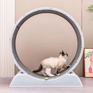 Rueda giratoria de ejercicio para gatos, fomenta la actividad física y mental, segura y resistente