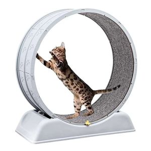 Rueda giratoria de ejercicio para gatos, fomenta la actividad física y mental, segura y resistente