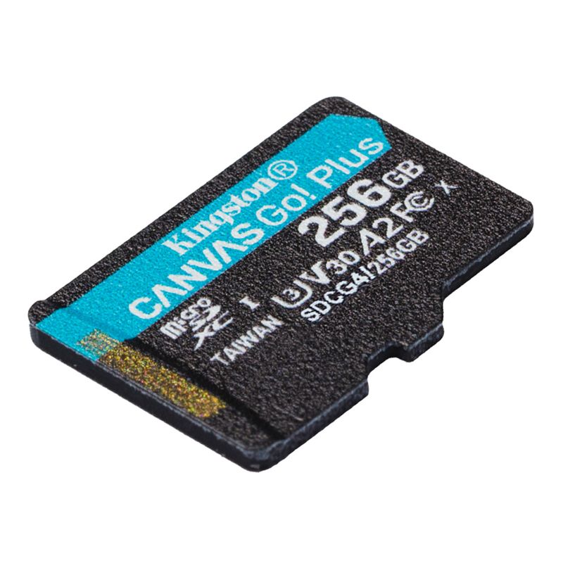 SDCG4256GB_4