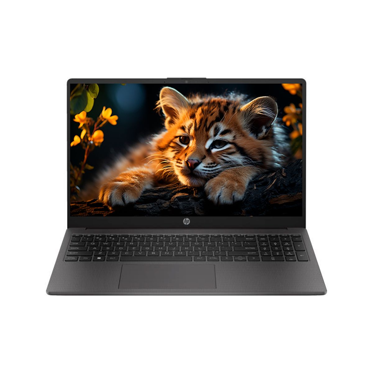 Laptop HP 250 G10 Intel Core i3-N305 / 8GB / SSD 256GB / 15.6" / No incluye Windows