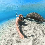 image-f7b376f86c094698998d9ddf339ff652