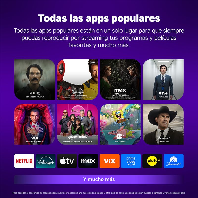 Roku Streaming Stick_02