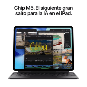 Ipad Pro 11" M5 (2025) 256GB 12GB RAM, cámara principal 12MP, frontal 12MP, ultra retina XDR OLED, space black