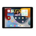 Tablet Apple iPad 9na Gen 256GB Gris