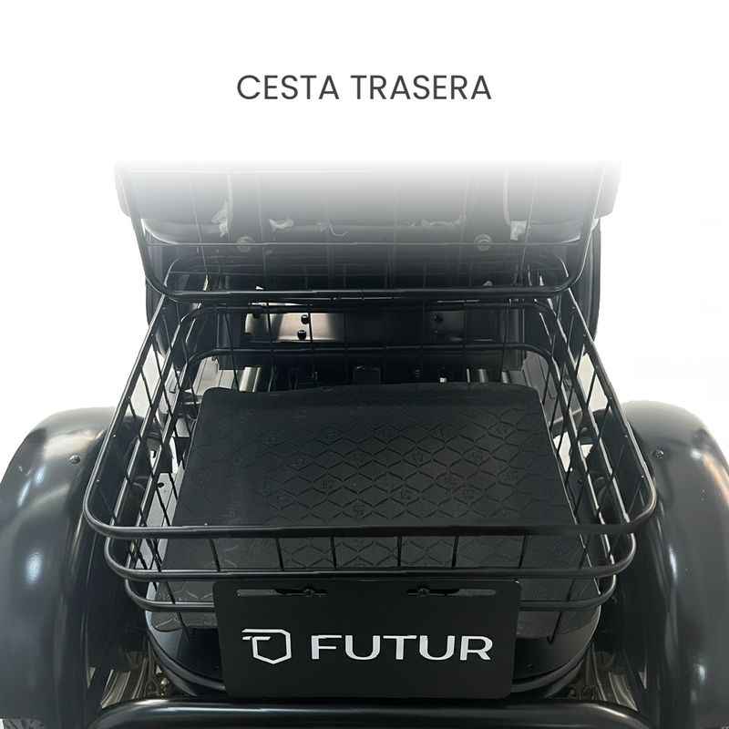 Trimoto eléctrica Futur IRIX 600W