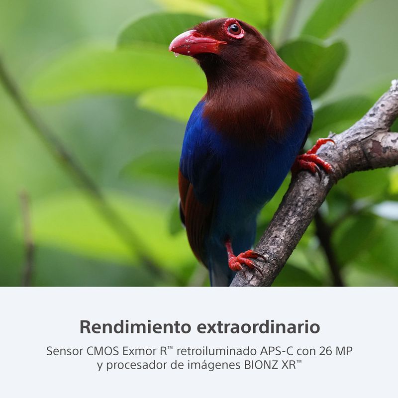 Cámara Sony Alpha a6700 APS-C 4K IA