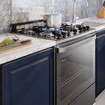 Cocina Electrolux F5ETG + 5 quemadores + VaporBake y PerfectCook + gris + ángulo frontal + uso doméstico