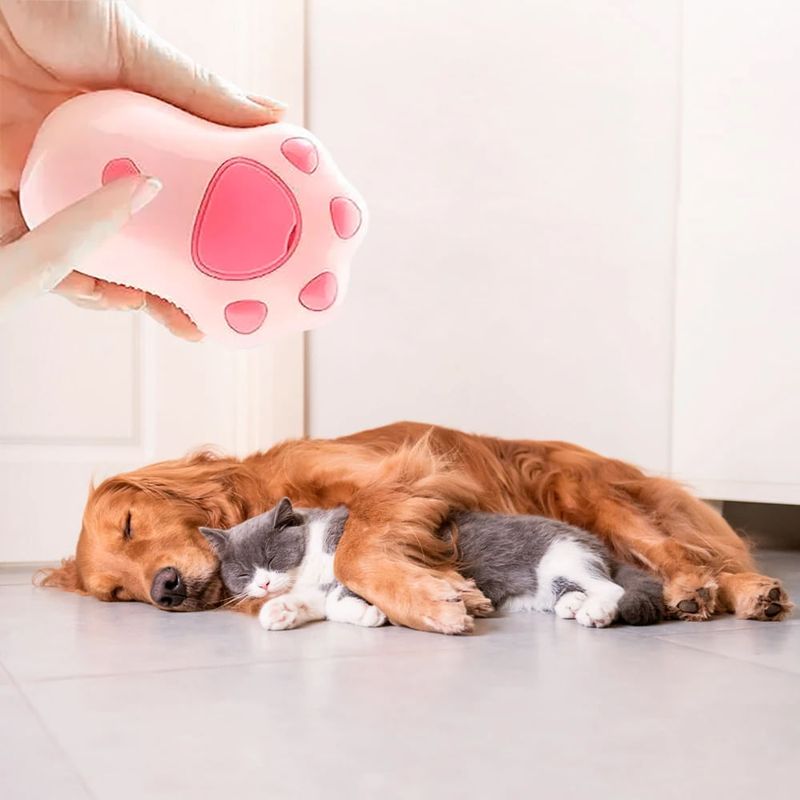 Cepillo Anavapets vaporizador para mascotas patita rosa