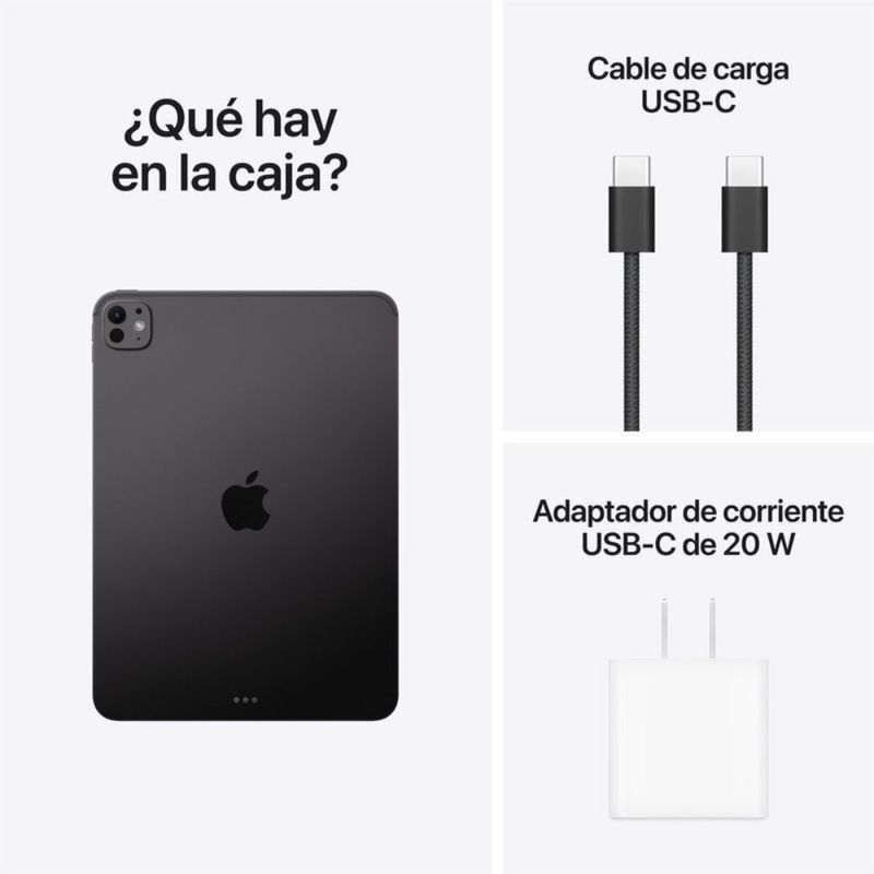 iPad Pro 11" M5 256GB Space Black dorsal