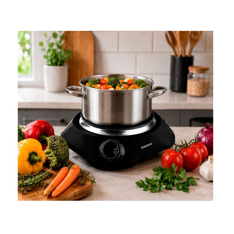 Cocina eléctrica Taurus Fenix 1 hornilla 1000W negro contenido