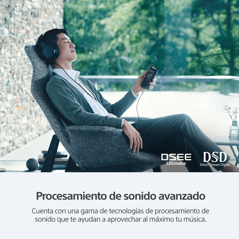 Reproductor Sony Walkman NW-WM1AM2 128GB negro audio DSD y PCM