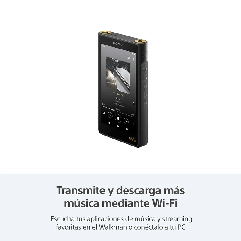 Reproductor Sony Walkman NW-WM1AM2 128GB negro transmisión de música