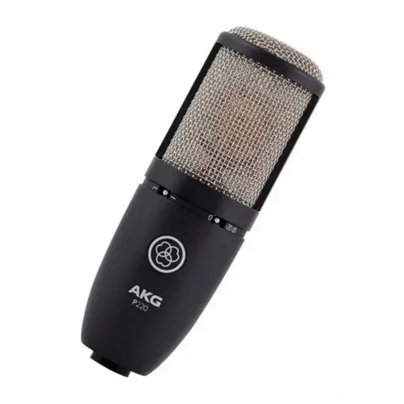 Micrófono AKG P220 cardioide XLR 20 Hz-20 kHz negro formato de estudio