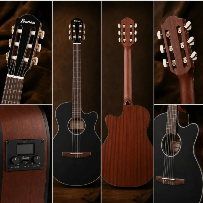 Guitarra Ibanez AEG50N-BKH nylon 20 trastes negro diseño